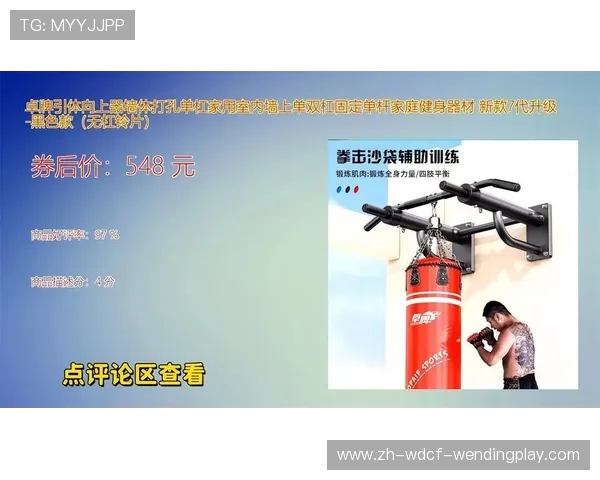 家庭健身器材品牌推荐及体育训练方案