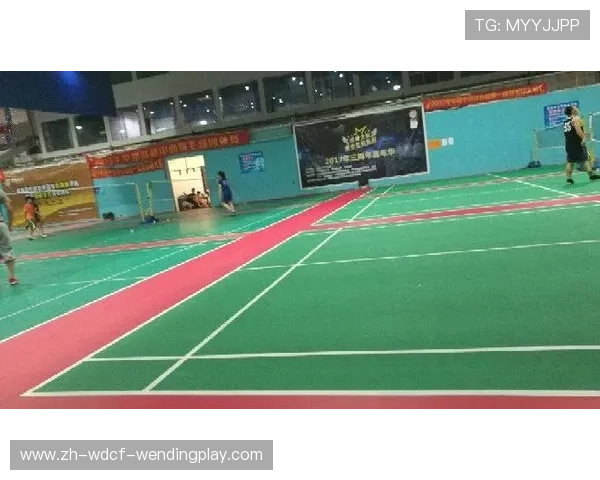 羽毛球娱乐用球重量