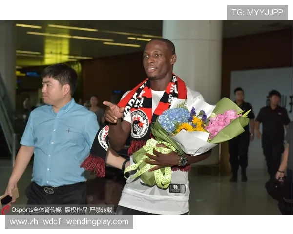 苏宁与德甲球队合作动态