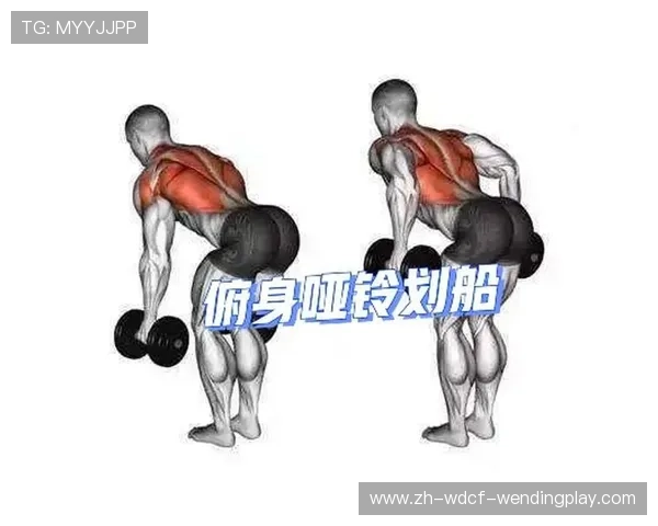 健身器材各部位动作要点详解：正确姿势助力训练效果